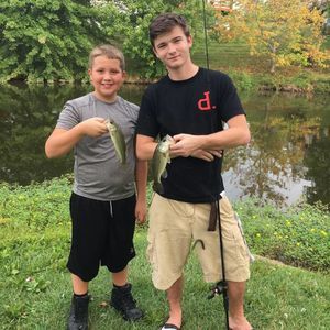 Meet your Posher, Adam